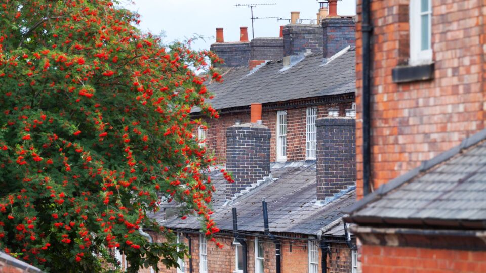 Derby - residential street